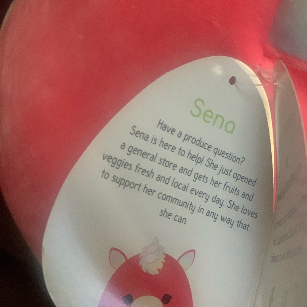 20” Sena Squishmallow NWT